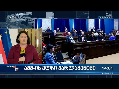 საგარეო კომიტეტზე ამერიკის ელჩს მოუსმინეს